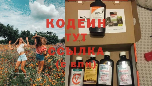 стаф Каменск-Шахтинский