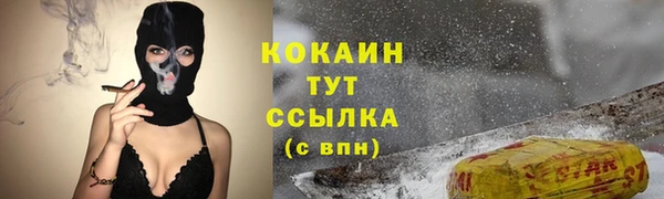прущий лед Каменка