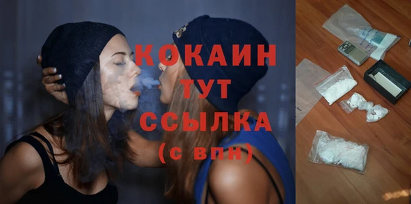 стаф Каменск-Шахтинский