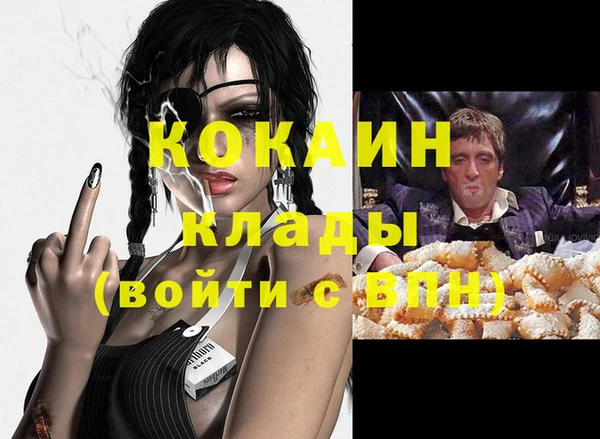 стаф Каменск-Шахтинский