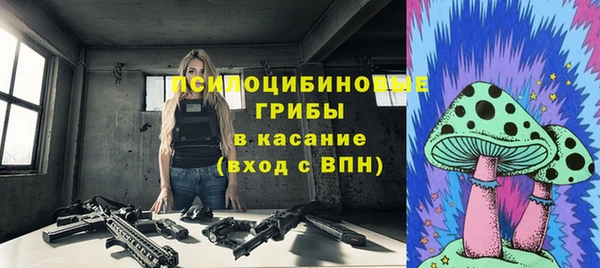 прущий лед Каменка