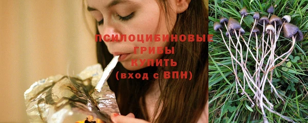 прущий лед Каменка