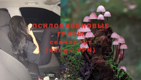прущий лед Каменка