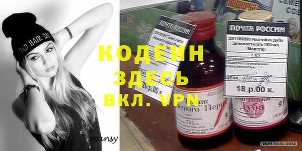 прущий лед Каменка