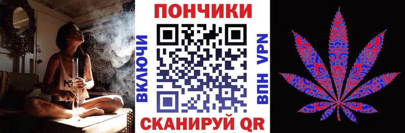 Купить где Яхрома Канабис планчик